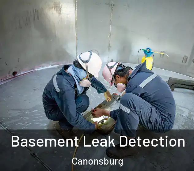  Basement Leak Detection Canonsburg