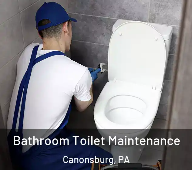 Bathroom Toilet Maintenance Canonsburg, PA
