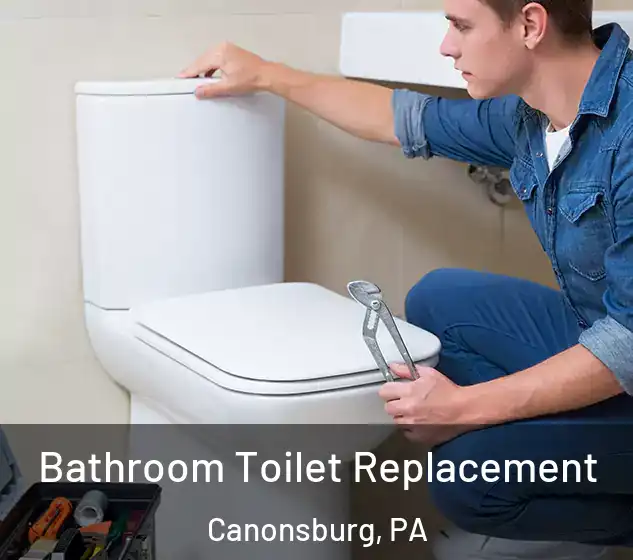  Bathroom Toilet Replacement Canonsburg, PA