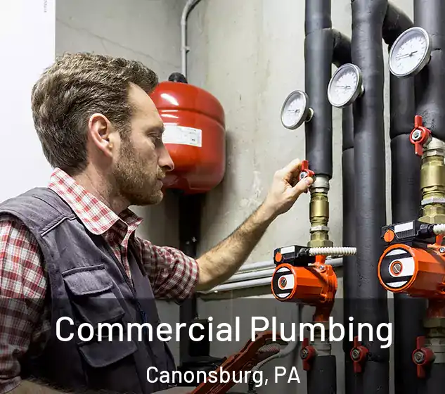  Commercial Plumbing Canonsburg, PA