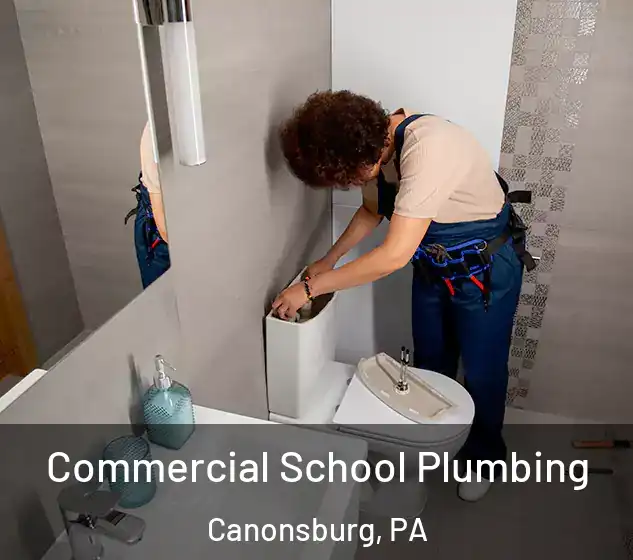  Commercial School Plumbing Canonsburg, PA