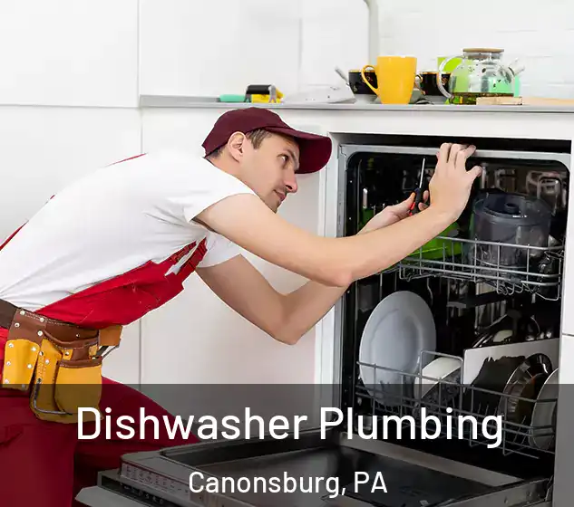  Dishwasher Plumbing Canonsburg, PA