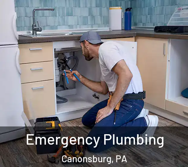  Emergency Plumbing Canonsburg, PA