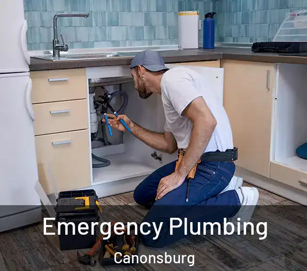  Emergency Plumbing Canonsburg