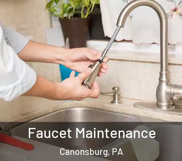  Faucet Maintenance Canonsburg, PA