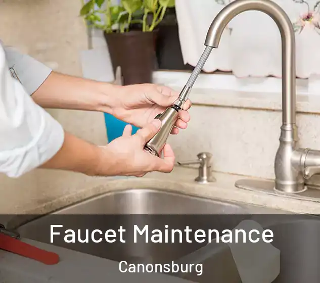  Faucet Maintenance Canonsburg