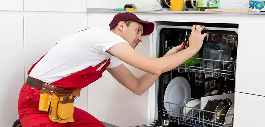 Scope of Kitchen Dishwasher Installation Services in Canonsburg, PA
