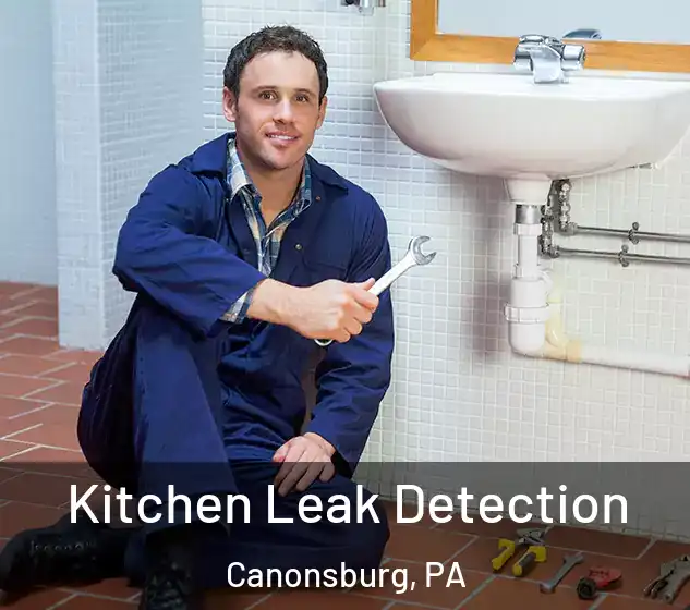  Kitchen Leak Detection Canonsburg, PA