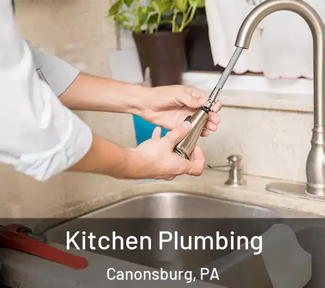 Kitchen Plumbing Canonsburg, PA