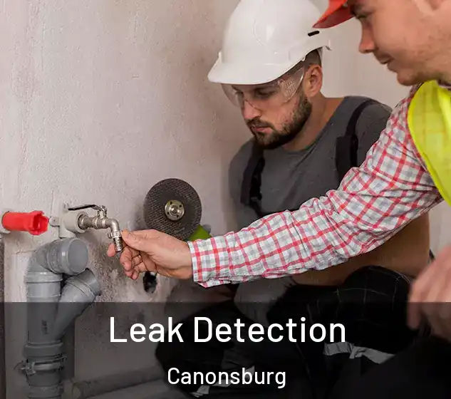  Leak Detection Canonsburg