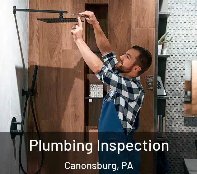  Plumbing Inspection Canonsburg, PA