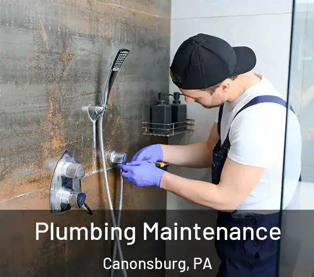  Plumbing Maintenance Canonsburg, PA