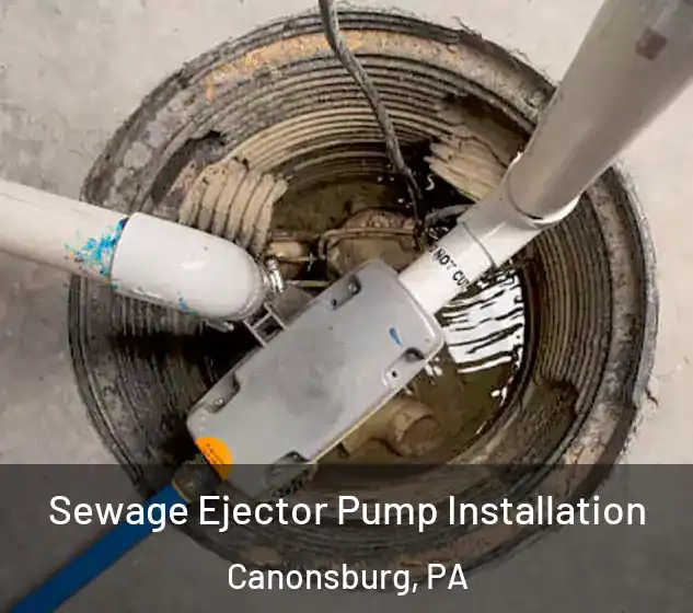  Sewage Ejector Pump Installation Canonsburg, PA