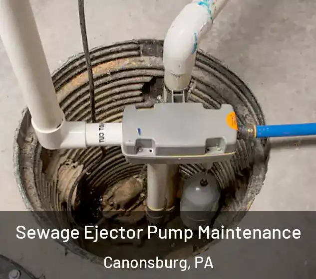  Sewage Ejector Pump Maintenance Canonsburg, PA