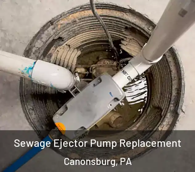  Sewage Ejector Pump Replacement Canonsburg, PA