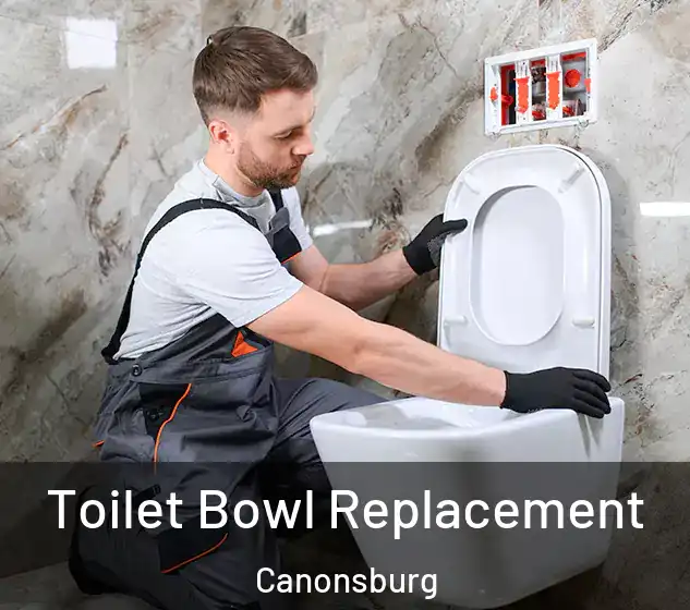  Toilet Bowl Replacement Canonsburg