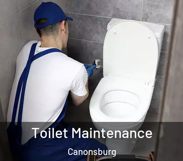  Toilet Maintenance Canonsburg